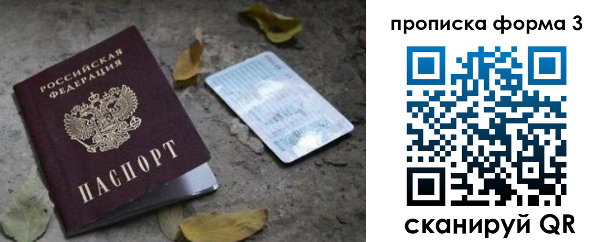 прописка для школы в Тихорецке